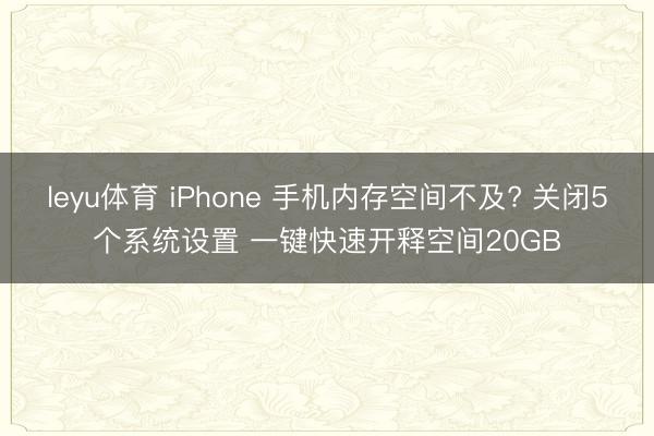 leyu体育 iPhone 手机内存空间不及? 关闭5个系统设置 一键快速开释空间20GB